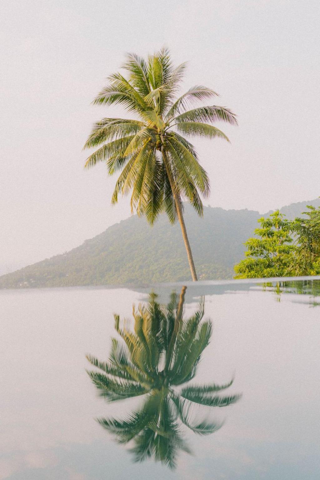 Perfect View Pool Villa Koh Tao Exterior photo